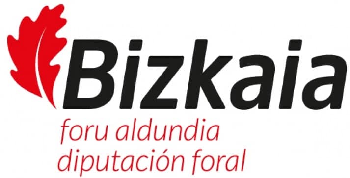 Provincial Council of Bizkaia